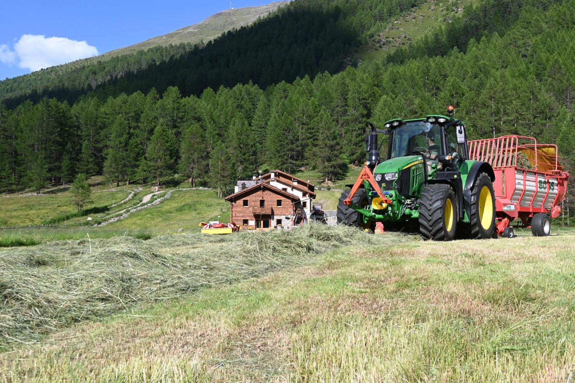 Agriturismo Bosco D'Oro リヴィーニョ エクステリア 写真