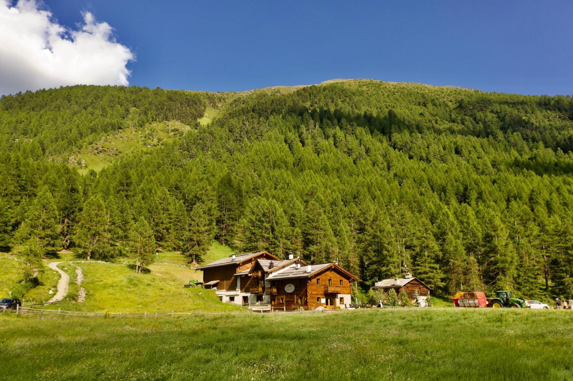 Agriturismo Bosco D'Oro リヴィーニョ エクステリア 写真